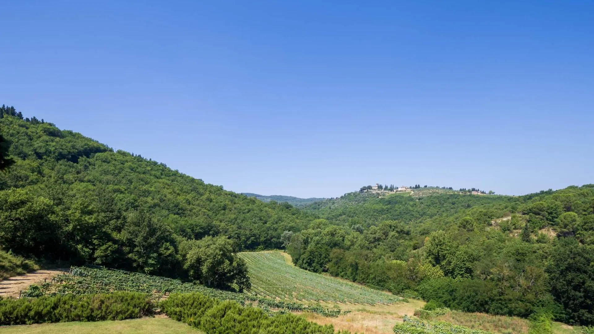 Farm stay Foresteria Castello Di Verrazzano Villa Greve in Chianti